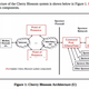 Illustration for article titled Leaked Files Show How the CIA Can Hack Your Router to Spy on Youem/em